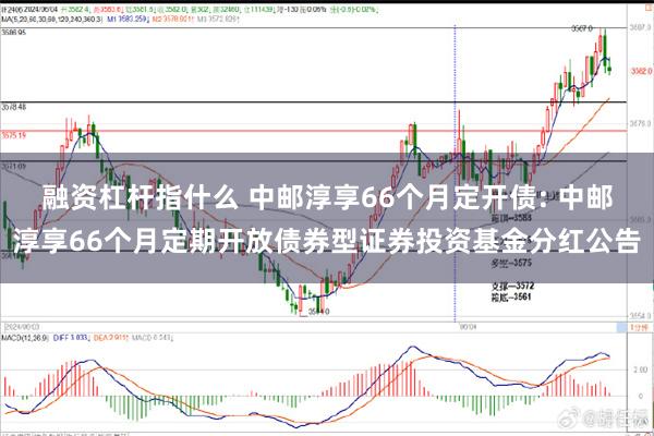 融资杠杆指什么 中邮淳享66个月定开债: 中邮淳享66个月定期开放债券型证券投资基金分红公告