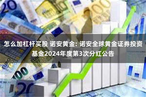 怎么加杠杆买股 诺安黄金: 诺安全球黄金证券投资基金2024年度第3次分红公告