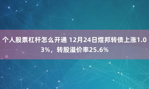 个人股票杠杆怎么开通 12月24日煜邦转债上涨1.03%，转股溢价率25.6%