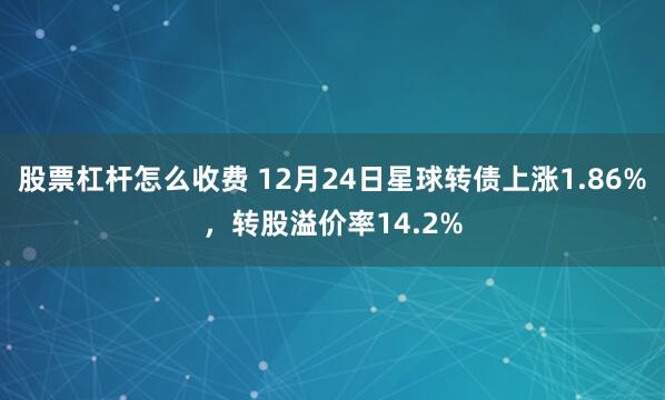 股票杠杆怎么收费 12月24日星球转债上涨1.86%，转股溢价率14.2%