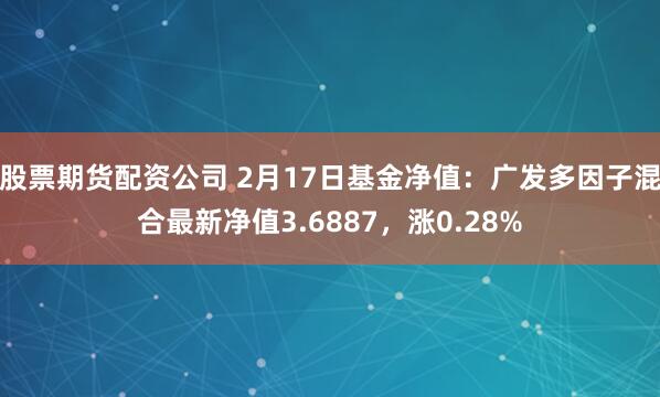 股票期货配资公司 2月17日基金净值：广发多因子混合最新净值3.6887，涨0.28%