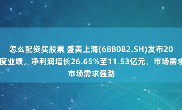 怎么配资买股票 盛美上海(688082.SH)发布2024年度业绩，净利润增长26.65%至11.53亿元，市场需求强劲