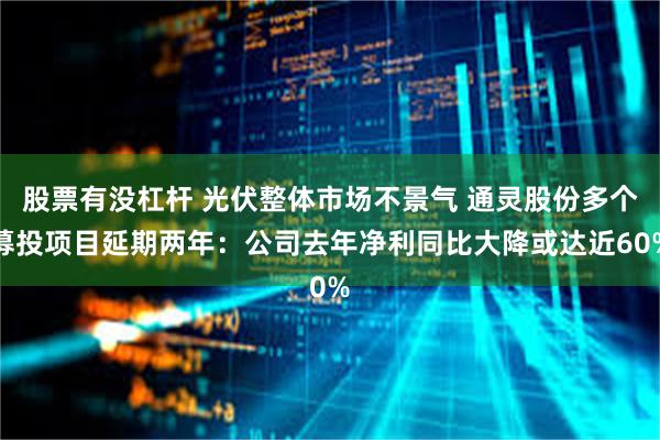 股票有没杠杆 光伏整体市场不景气 通灵股份多个募投项目延期两年：公司去年净利同比大降或达近60%