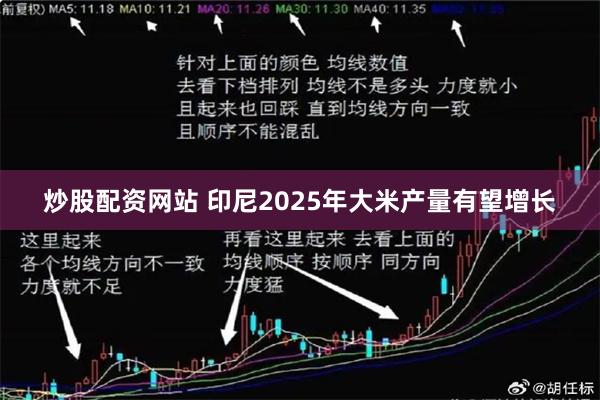 炒股配资网站 印尼2025年大米产量有望增长